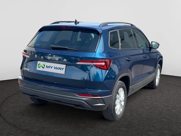 SKODA Karoq Dsl (2023) — foto 16 van 19
