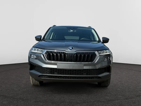 SKODA Karoq (2022) — foto 10 van 16