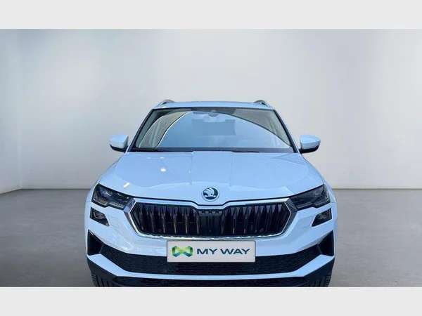 Skoda Karoq (2023) — foto 12 van 30