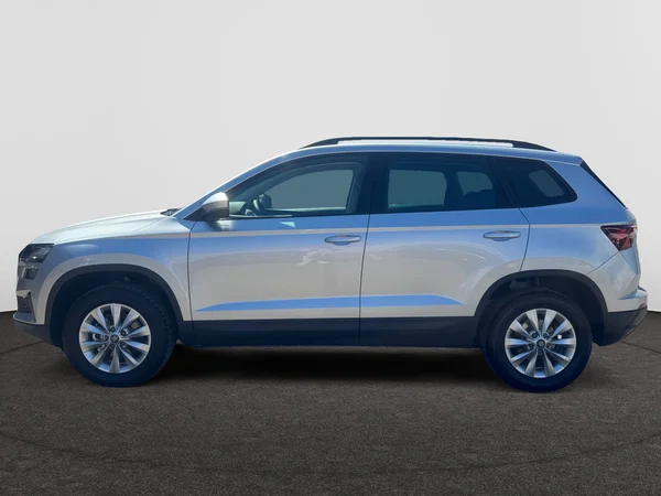 SKODA Karoq (2026) — foto 4 van 21