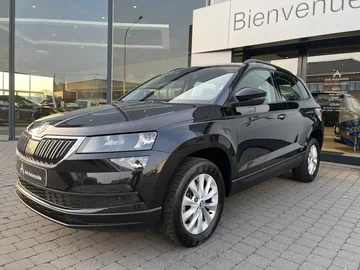 Skoda Karoq 339f5431-4e08-486b-a24c-306fde3e43ef