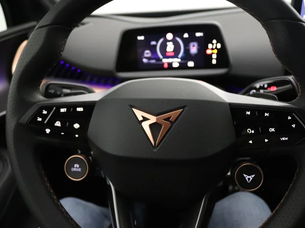 CUPRA Tavascan (2025) — foto 7 van 19