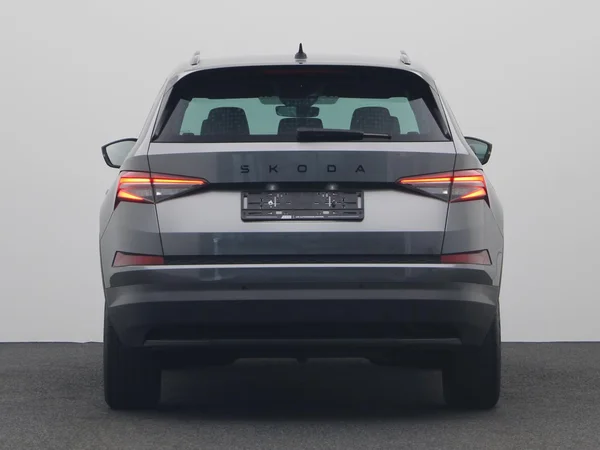 SKODA Kodiaq (2024) — foto 20 van 23