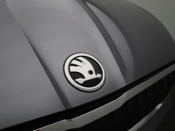 Škoda Enyaq iV (2023) — foto 30 van 37