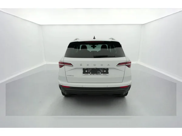 SKODA Karoq (2023) — foto 36 van 36