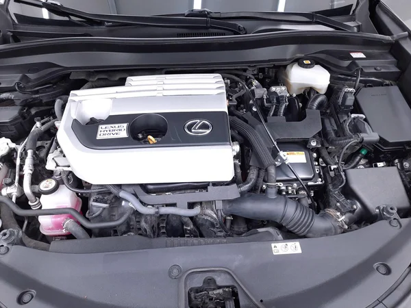 Lexus UX 250h (2022) — foto 8 van 23