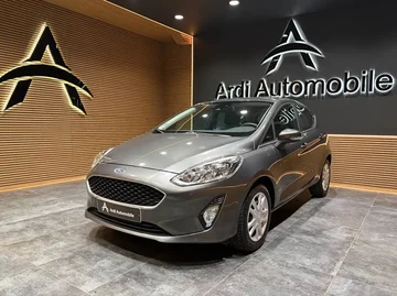 Ford Fiesta 2880e696-e8b6-4890-8520-9be33b60a301