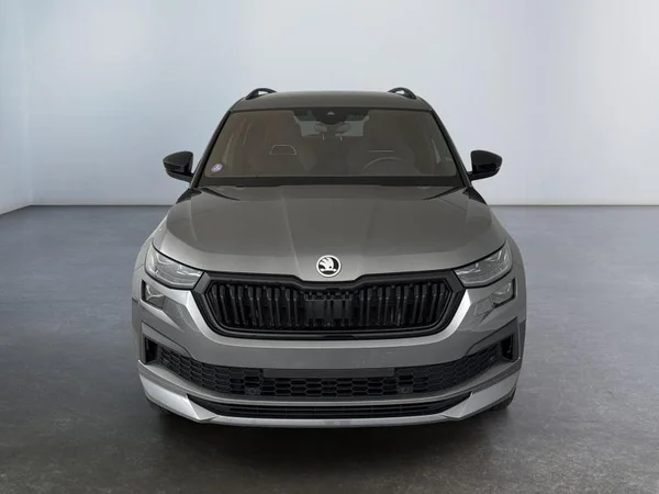 SKODA Kodiaq (2023) — foto 13 van 17