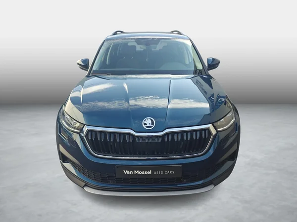 Škoda Kodiaq (2024) — foto 14 van 20