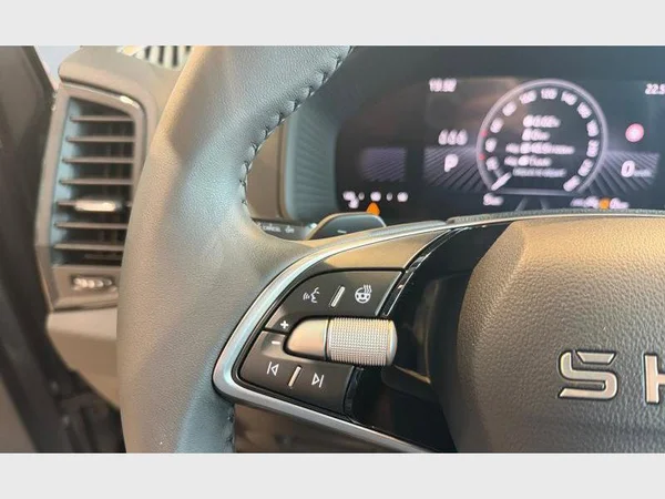 SKODA Karoq (2026) — foto 4 van 24
