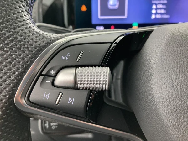 SKODA Kodiaq (2025) — foto 13 van 36