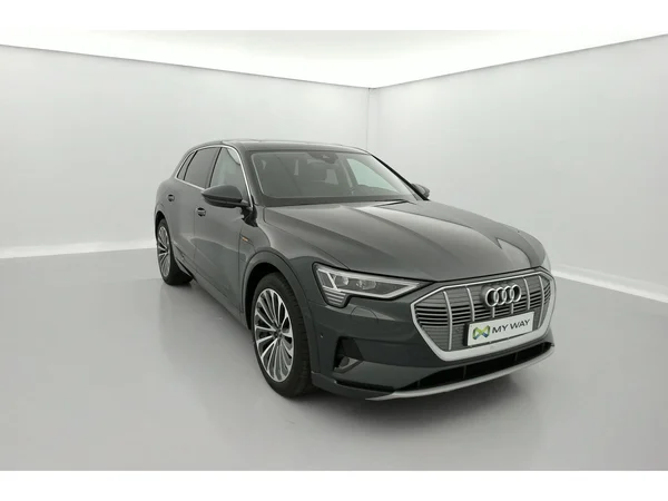 AUDI e-tron (2021) — foto 23 van 30