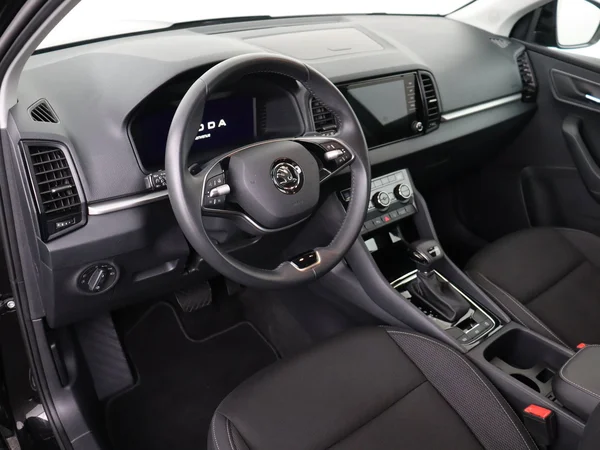SKODA Karoq (2024) — foto 17 van 18