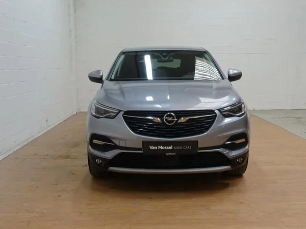 Opel Grandland X (2020) — foto 19 van 19