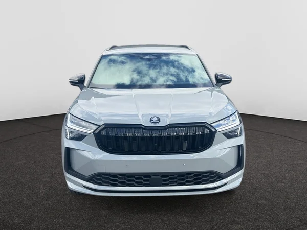 SKODA Kodiaq (2026) — foto 20 van 21