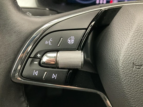 SKODA Kodiaq (2022) — foto 9 van 36