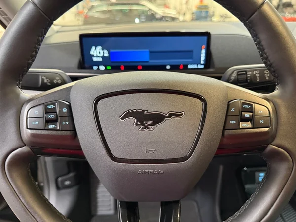 Ford Mustang-Mach-E (2021) — foto 7 van 29