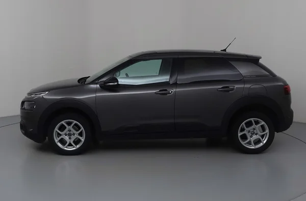 Citroen C4 Cactus (2019) — foto 12 van 34