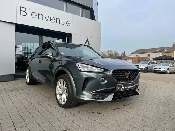 Cupra Formentor (2022) — foto 18 van 24