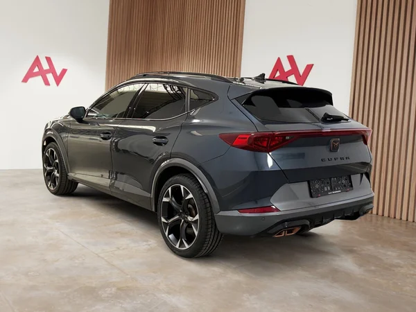 Cupra Formentor (2021) — foto 29 van 29