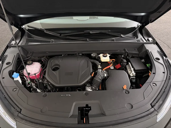 GEELY Starray EM-i (2026) — foto 6 van 29
