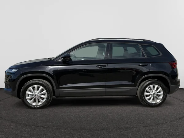 SKODA Karoq (2026) — foto 16 van 20