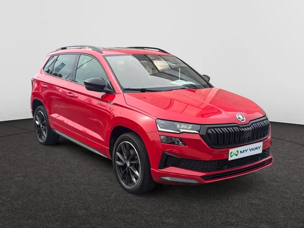 SKODA Karoq (2023) — foto 21 van 21