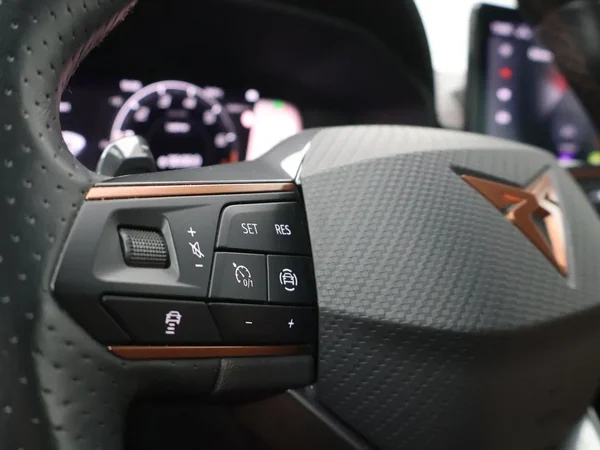 CUPRA Formentor (2022) — foto 5 van 23