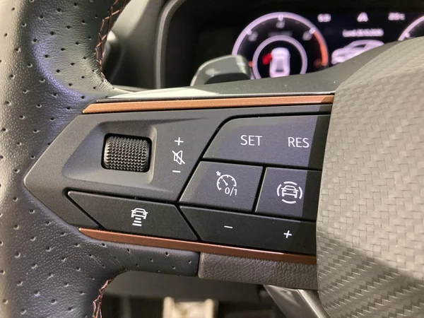 CUPRA Leon e-Hybrid (PHEV) (2023) — foto 3 van 36