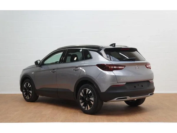 Opel Grandland X (2020) — foto 16 van 21