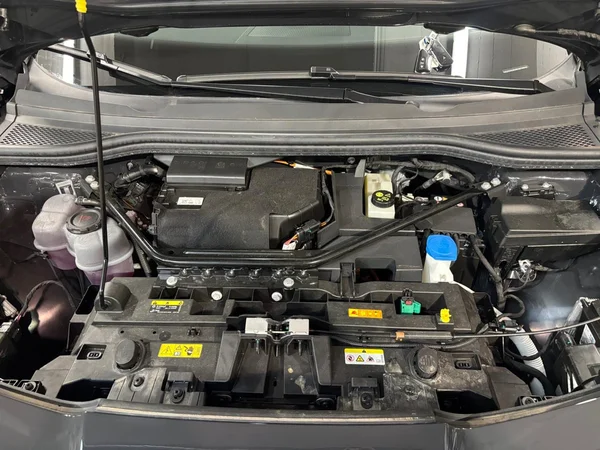 CUPRA Tavascan (2026) — foto 15 van 24