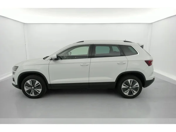 SKODA Karoq (2023) — foto 33 van 36