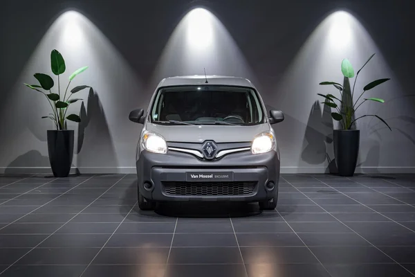 Renault Kangoo (2019) — foto 12 van 19