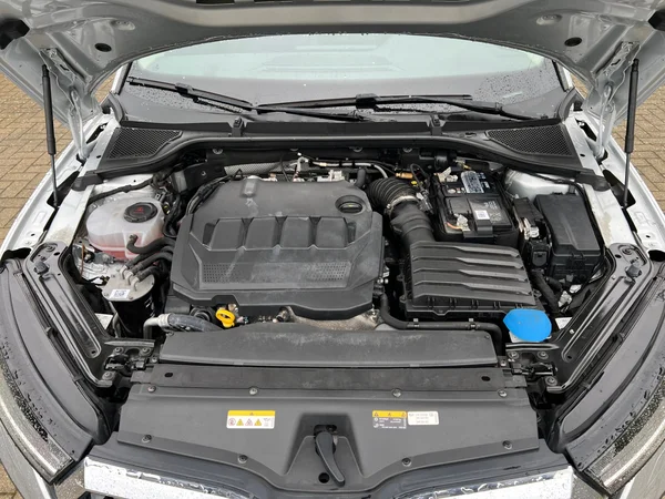 SKODA Octavia Combi (2022) — foto 15 van 24