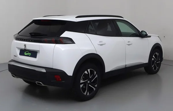 Peugeot 2008 (2020) — foto 30 van 34