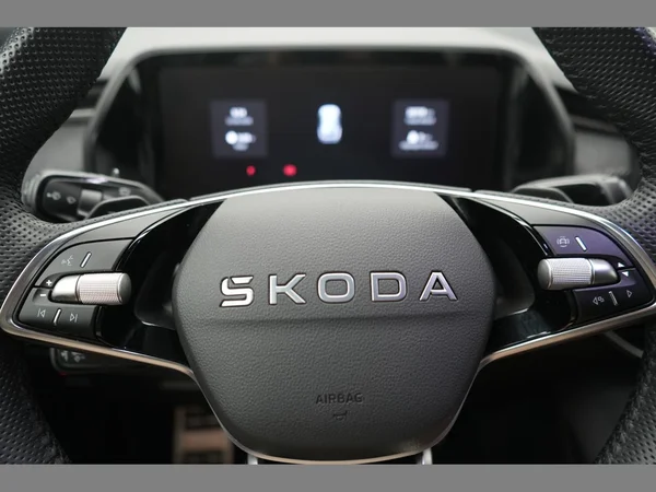 SKODA Kodiaq (2025) — foto 14 van 32