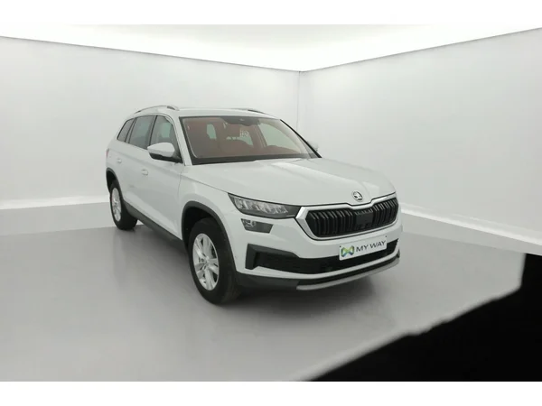 SKODA Kodiaq (2022) — foto 23 van 36