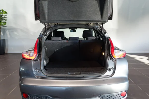 Nissan Juke (2015) — foto 5 van 31