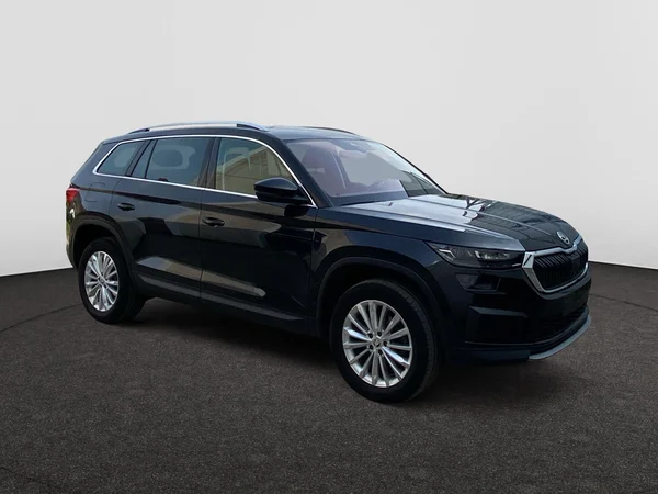 SKODA Kodiaq (2024) — foto 14 van 17