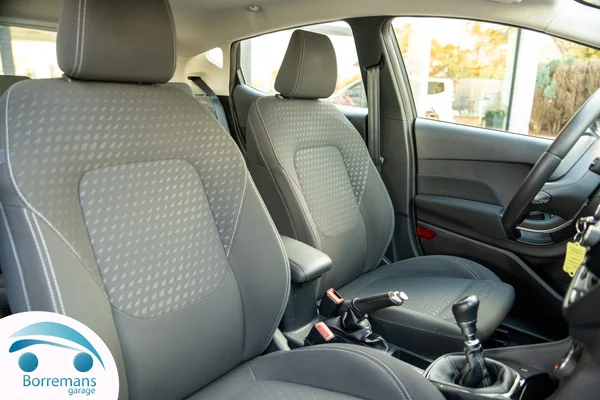Ford Fiesta (2020) — foto 6 van 35