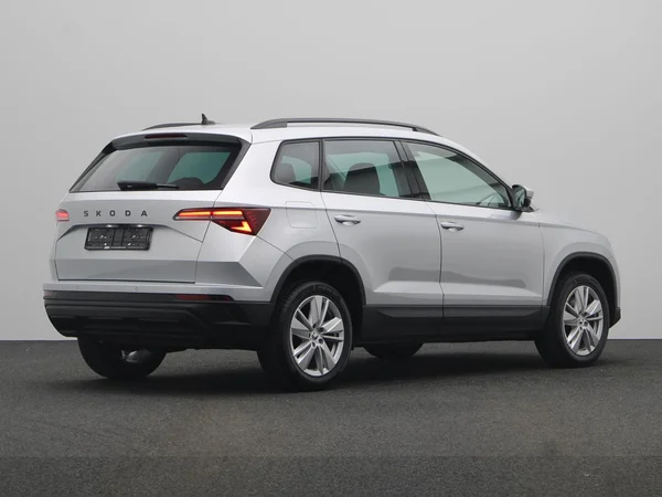 SKODA Karoq (2024) — foto 12 van 19