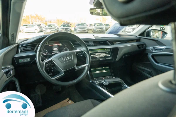 Audi e-tron (2022) — foto 14 van 33
