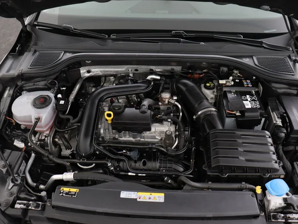 VOLKSWAGEN Golf (2024) — foto 6 van 28