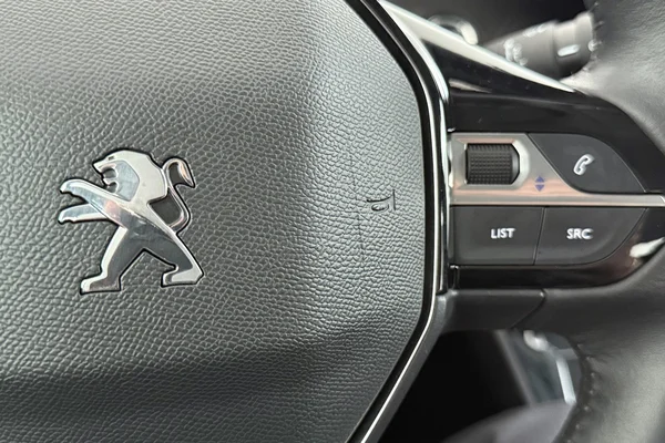 Peugeot E-2008 (2021) — foto 19 van 31