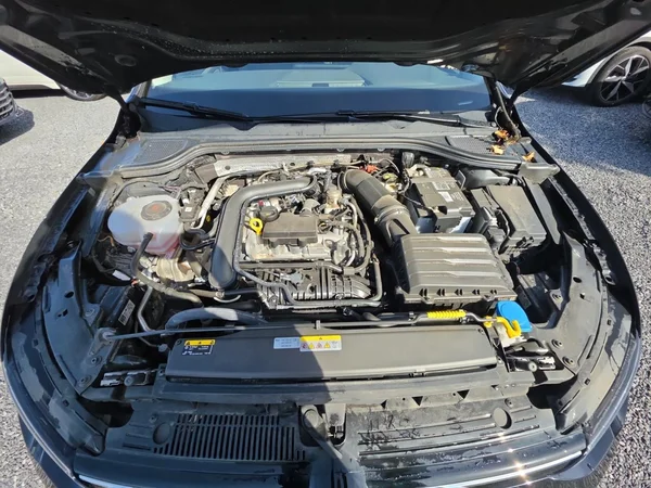 VOLKSWAGEN Golf VIII (2023) — foto 15 van 24