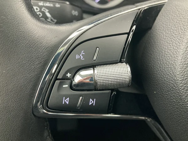 SKODA Kodiaq (2022) — foto 10 van 36