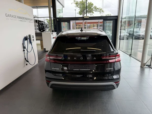 Škoda Kodiaq — foto 21 van 25