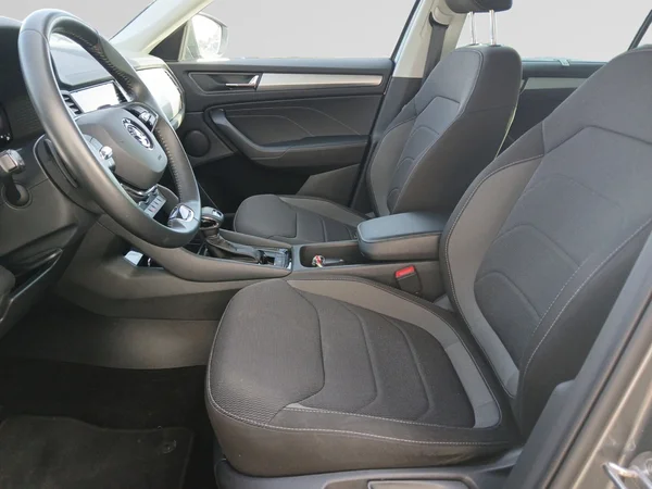SKODA Kodiaq (2024) — foto 16 van 20