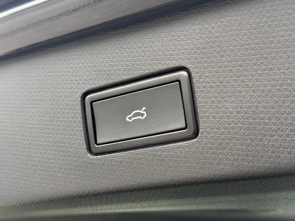 CUPRA Tavascan (2025) — foto 22 van 25
