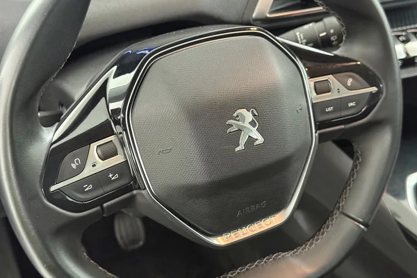 Peugeot 3008 (2019) — foto 13 van 25